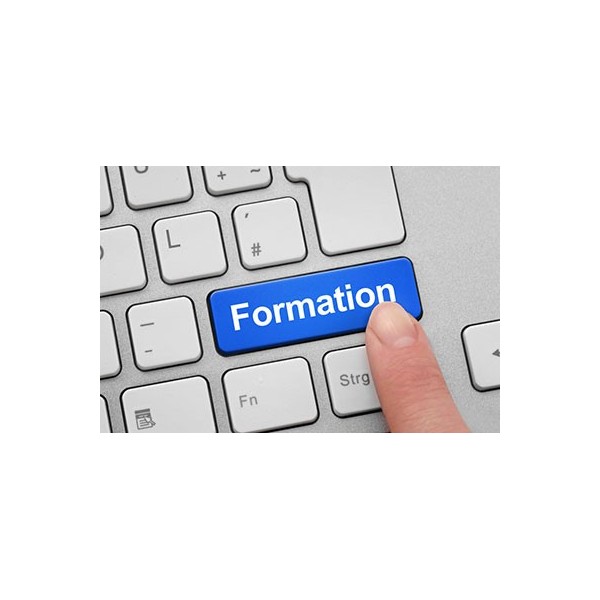 sage-50-formations-a-distance