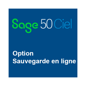 Option de Sauvegarde en...