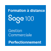 Formation Perfectionnement de Sage 100 Gestion commerciale - Gestion des stocks et de l'inventaire