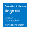 Formation Perfectionnement de Sage 100 Gestion commerciale - Gestion des tarifs