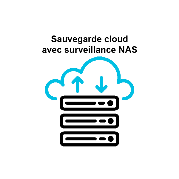 Location mensuelle NAS SYNOLOGY DS224+ avec sauvegarde cloud et  surveillance de votre NAS