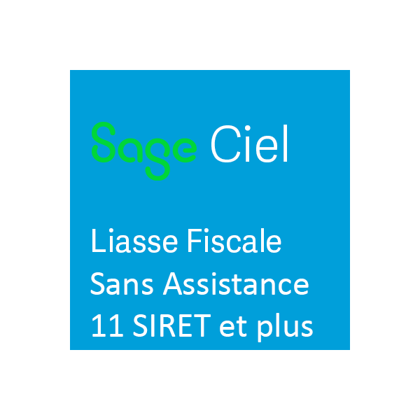 CIEL Liasse Fiscale 2023 pour les Bilans 2023 2022 + Contrat sans assistance pour 11 SIRET et plus
