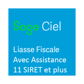 CIEL Liasse Fiscale 2024...