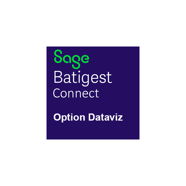 Option DATAVIZ pour Sage Batigest connect