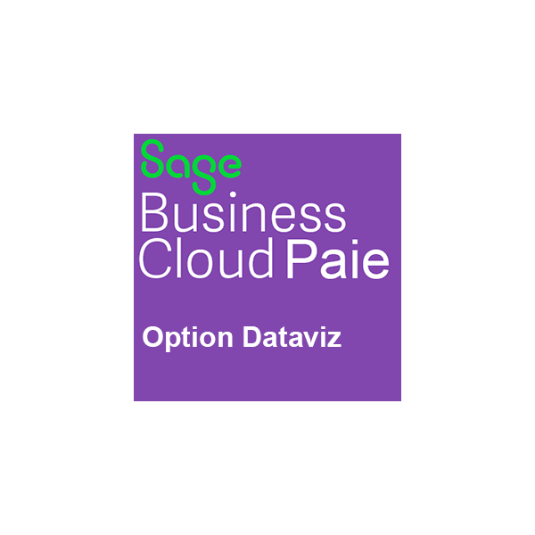 Option DATAVIZ pour Sage Business Cloud Paie
