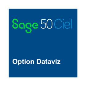 Option DATAVIZ pour Sage 50