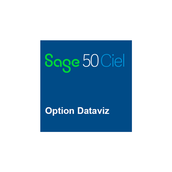 Option DATAVIZ pour Sage 50